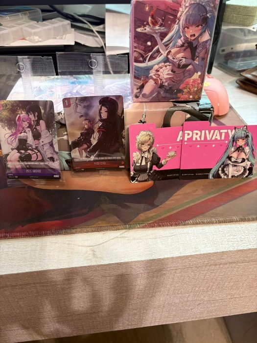 NIKKE NIVEL ARENA 勝利女神妮姬收藏盒(韓文版) AGF 2025 會場限品除