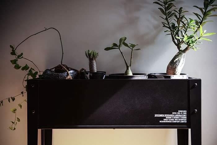 未使用品 SRL GARDEN BED / S-CABINET ネイバーフッド neighborhood 植物棚 植物台 希望商店NEIGHBORHOOD SRL GARDEN BED S-CABINET 19AW 植物盆栽塊根