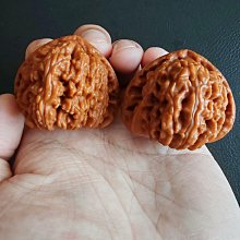 實屬難得的文玩核桃，大尺寸正三角白全品，糖三角，尺寸43.2mmmmmm，已