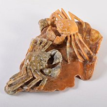 蟹-優惠推薦2026年2月| Yahoo拍賣