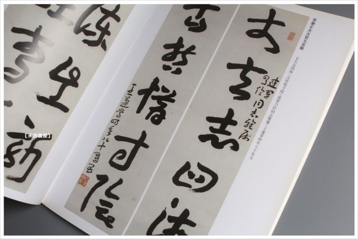 禾洛書屋】歷代名家書法精典-王遽常(北京燕山出版)章草/書法字帖/作品