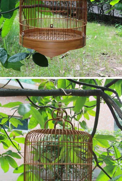 野比店長推薦~【木質鳥籠】高鳥籠01水鶇手工鳥籠裝飾水駒水鶇海底藤雜
