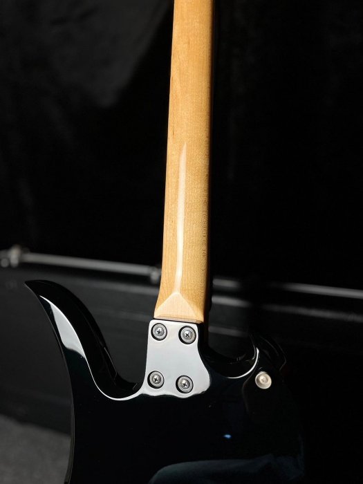 FERNANDES MG-160R / HIDEギター 薔薇と髑髏 【公式通販】