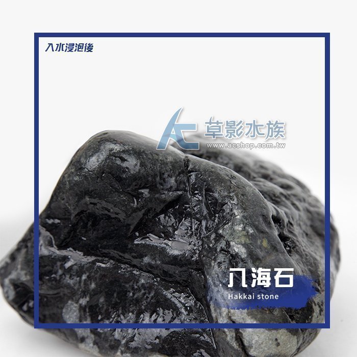 AC草影】八海石（XL/2kg）【一組】BSK01011 | Yahoo拍賣