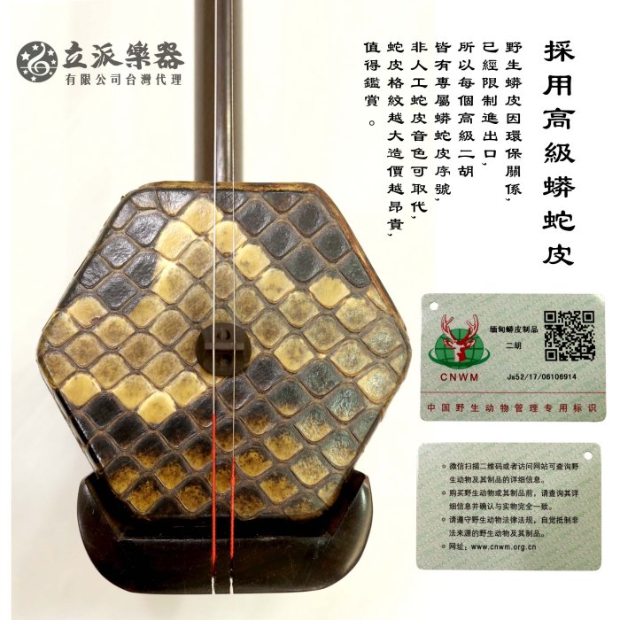 二胡 王根興? 詳細不明 800x.jpg?