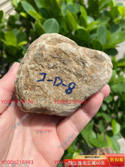 克莫西沙翡翠原石，重量壓手，壓燈黃霧表現，水頭短，玩高種水掛件料