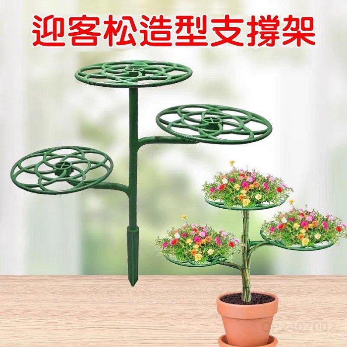 【珍愛頌】N686 二層 三層 迎客松造型 植物支撐架 花卉支撐架 太陽花支架 太陽花架 爬藤架 龜背芋 螃蟹蘭 黃金葛