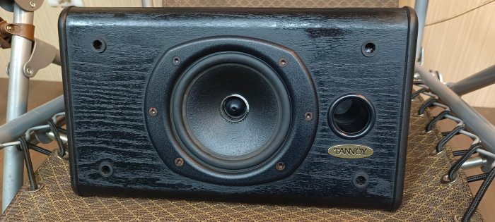（五角銅板）品相漂亮 英國製 TANNOY Profile 621 5吋同軸單體 高階中置喇叭 | Yahoo拍賣