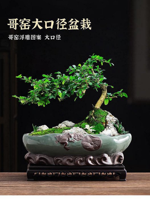 福建茶盆景盆大口徑紫砂桌面老樁綠植盆栽長方形室內小擺件帶托盤