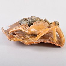 蟹-優惠推薦2026年2月| Yahoo拍賣