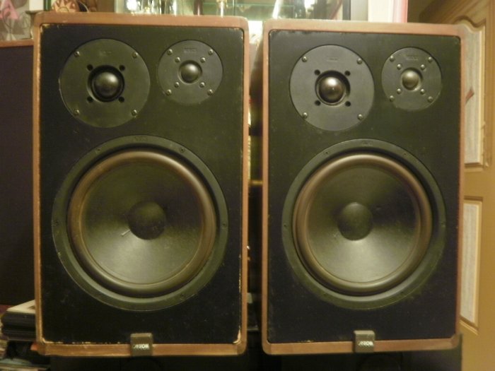 (老高音箱) 德國原裝 CANTON KARAT 300 10吋三音路高階書架喇叭一對