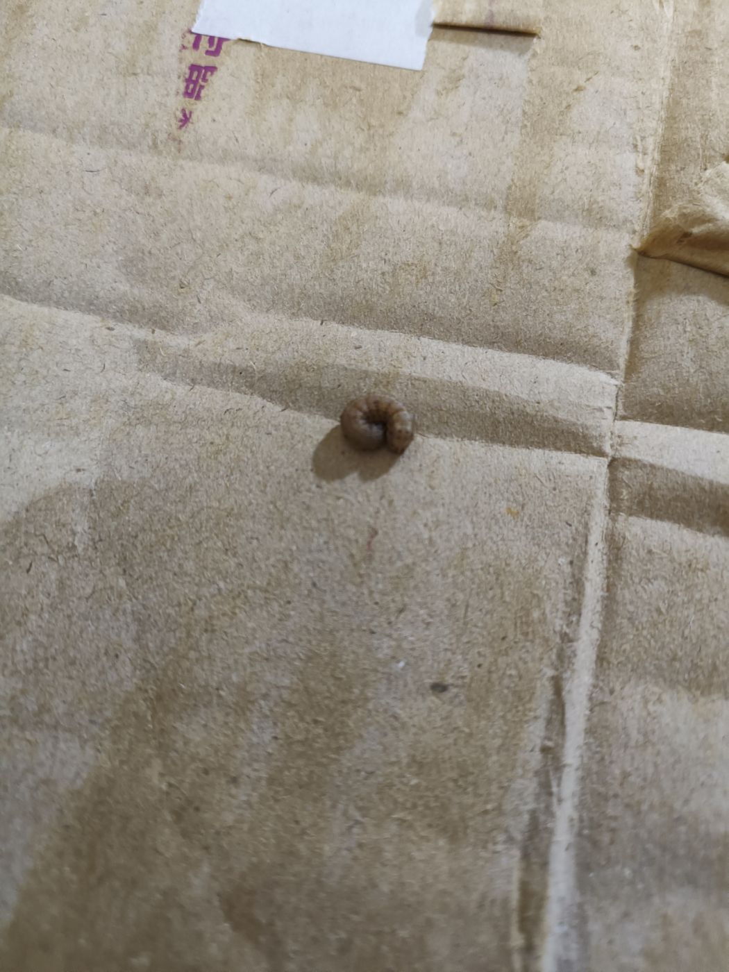 星**'s review image