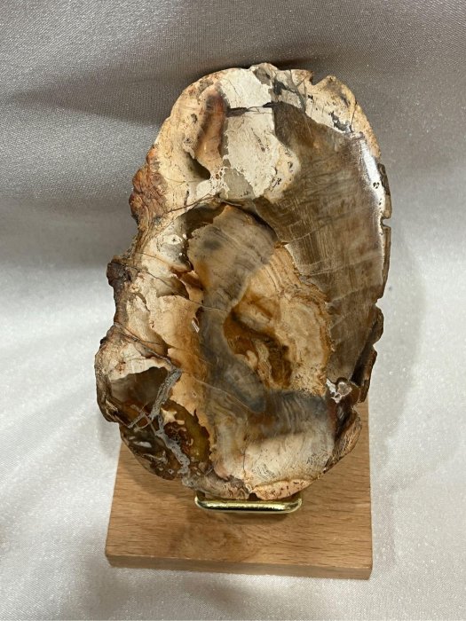 綺麗な化石 天然木 化玉原石 樹化玉木化石木玉化木原石礦墊色紋美厚材厚料天然化石萬年木| Yahoo拍賣