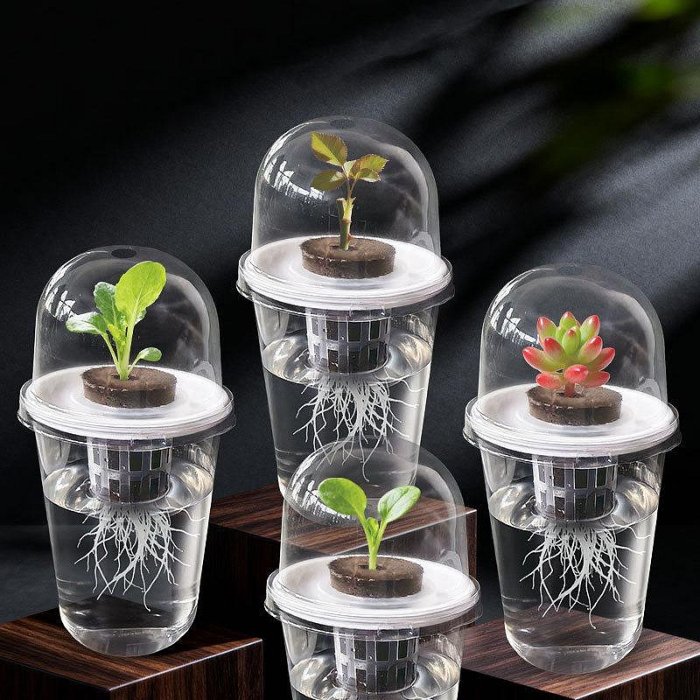 【珍愛頌】N693 育苗杯五件套 水培杯 水培種子花盆 水培花盆 水耕瓶 育苗盆 塑膠花盆 水培瓶 水養植物瓶 水耕盆栽