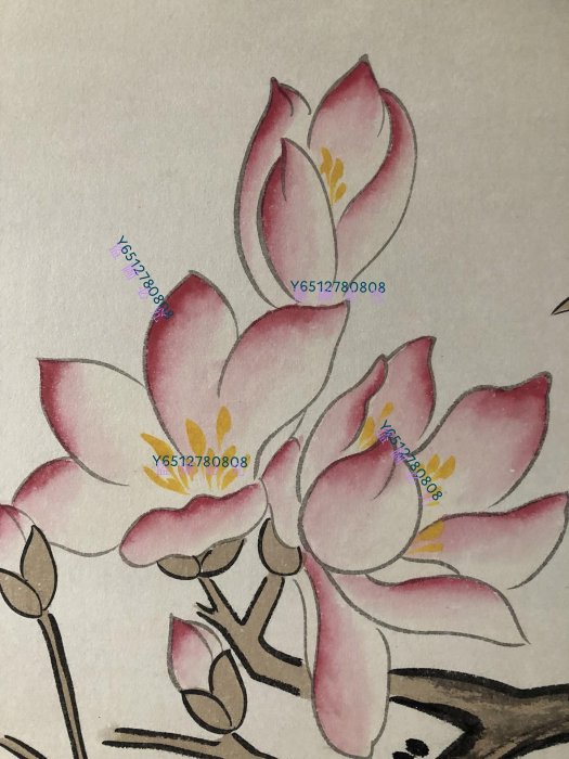 手描き 王雪濤 花鳥図（孔雀） 宣紙掛軸 四尺中堂 【公式通販】