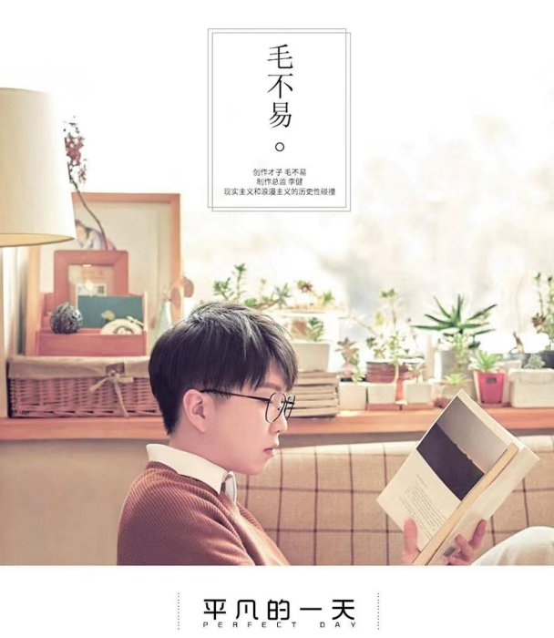 毛不易 平凡的一天 Perfect Day LP 2枚組 未開封 Stream 毛不易平凡的一天官方完整版by Rorschach_s | Listen online