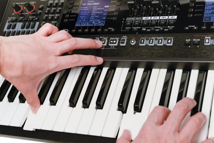 「新品」希少　Roland E-A7 61鍵 電子オルガン Roland Expandable Arranger Keyboard (E-A7) : Amazon.ca