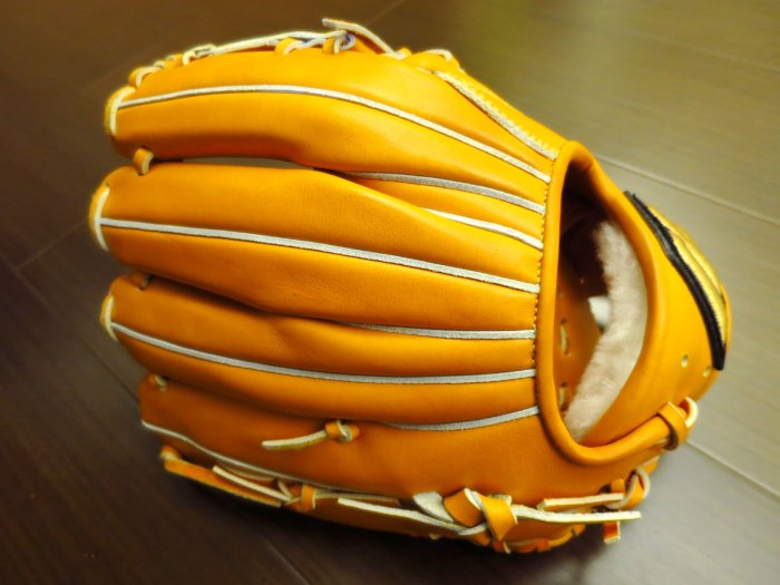 圓圓小舖}全新日本製硬式MIZUNO PRO for p for professional大M金標內