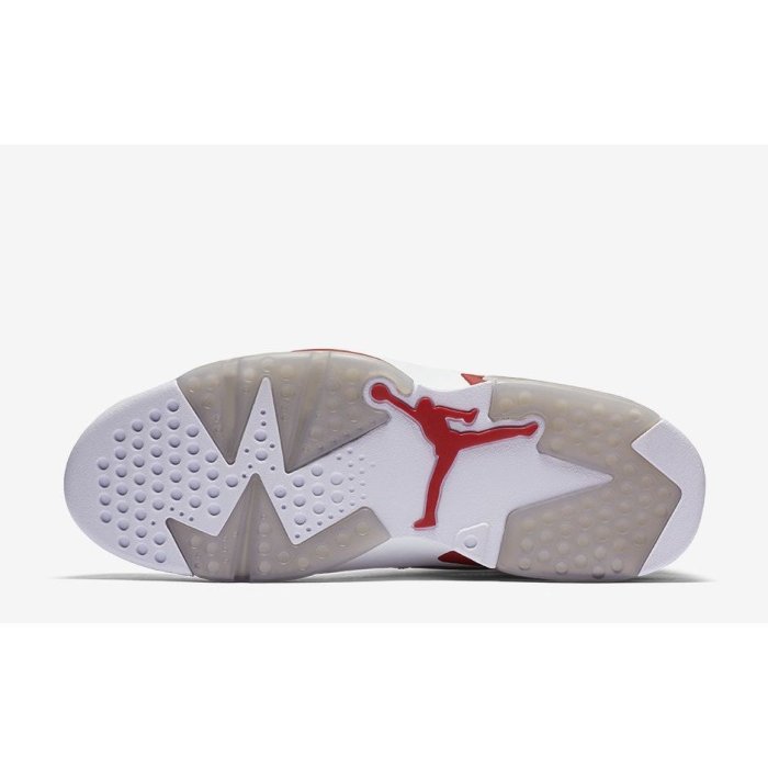 jordan 6 retro alternate 91