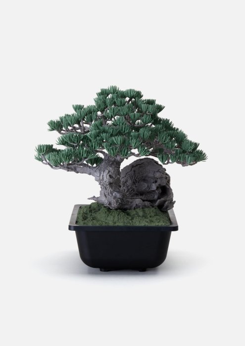 その他 NEIGHBORHOOD X BANDAI BONSAI MODEL KIT 日貨代購CITY】2024AW NEIGHBORHOOD SRL X BANDAI SPIRITS