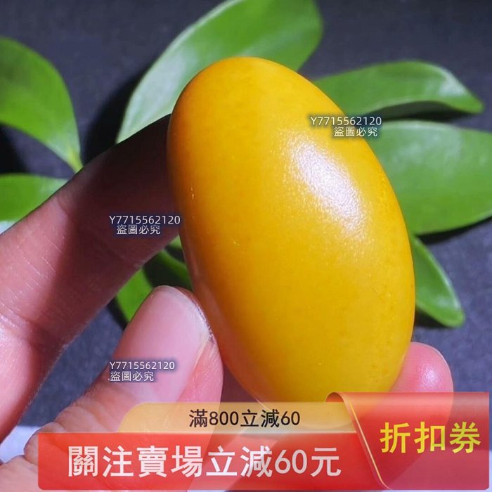 新疆和田玉黃沁（鳮油黃）籽料原石籽型完整飽滿老熟細膩油糯毛孔清晰自