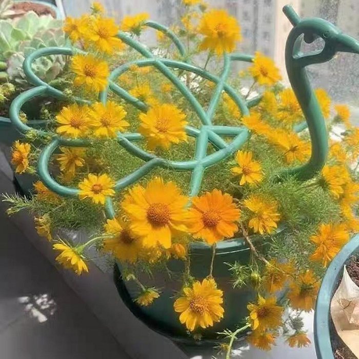 【珍愛頌】N685 孔雀造型 植物支撐架 花卉支撐架 太陽花支架 太陽花架 爬藤架 龜背芋 螃蟹蘭架 黃金葛架 園藝裝飾