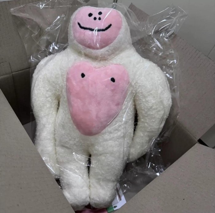 韓國Dinotaeng DouDou毛絨抱枕 全新正品
