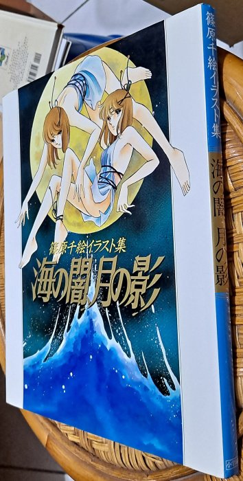 ◕‿◕):°*＊日文版畫冊:°* ～＊海の闇、月の影─イラスト集＊()～篠原