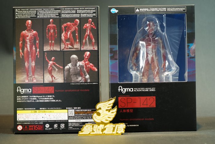 figma SP-142 人体模型 figma SP-142 Human Anatomical Model
