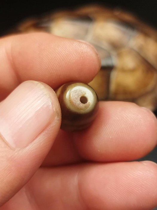 嚴選藏傳蓮花三眼天珠，瑪瑙原料，尺寸19.3X13，皮殻