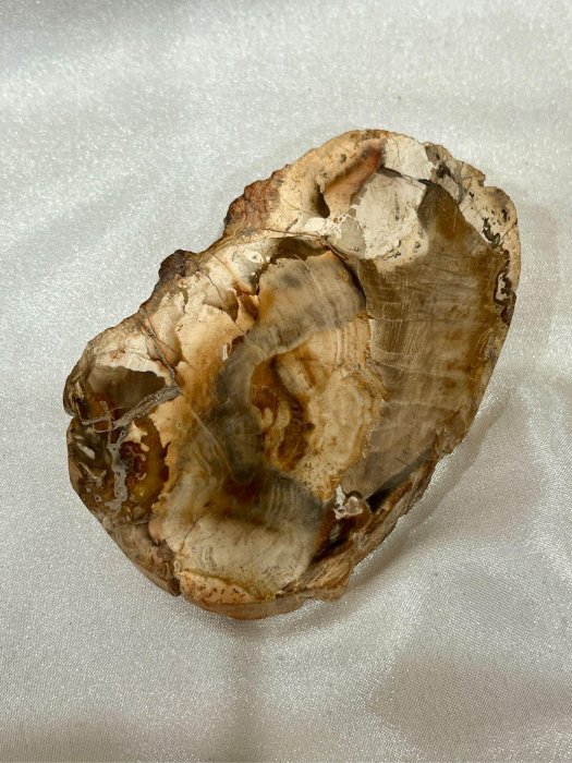 樹化玉木化石木玉化木原石礦墊色紋美厚材厚料天然化石萬年木| Yahoo拍賣