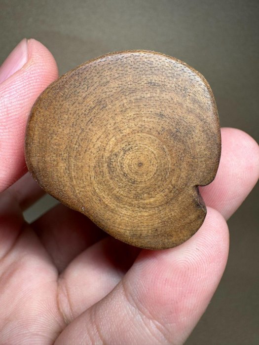柬埔寨菩薩棋44.6克沉香樹心油尺寸：12.4cm*3.7cm*3.2cm。 高品質大塊