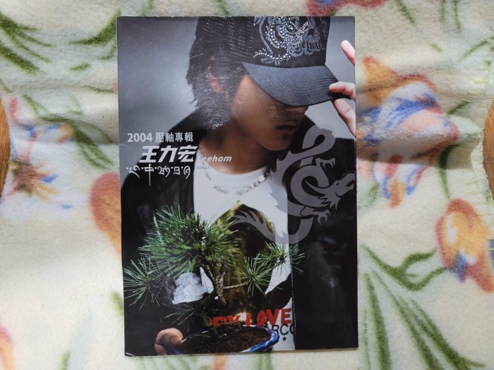 王力宏／心中的日月的價格推薦- 2026年5月| 比價比個夠BigGo
