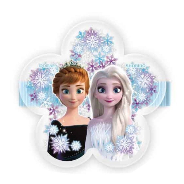 【震撼精品百貨】冰雪奇緣 Frozen~日本迪士尼Disney 冰雪奇緣髮夾-花*39171