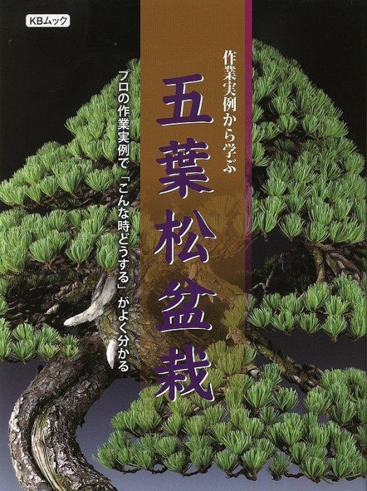 五葉松盆栽-優惠推薦2026年5月| Yahoo拍賣