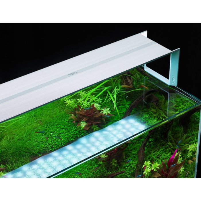 2f5197b7-c9cd-47a2-8b3a-