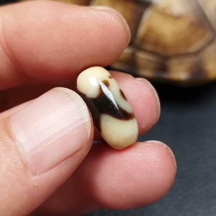 嚴選藏傳蓮花二眼天珠，瑪瑙打造，尺寸17.8X8.4，皮殼風化細膩油潤