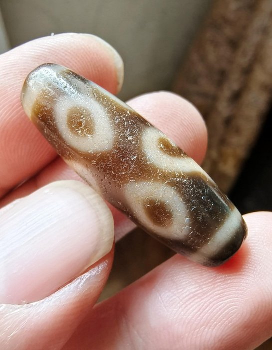 嚴選天緣法螺四眼天珠，尺寸34.5x11mm，風化自然飽和，適合收藏把玩天