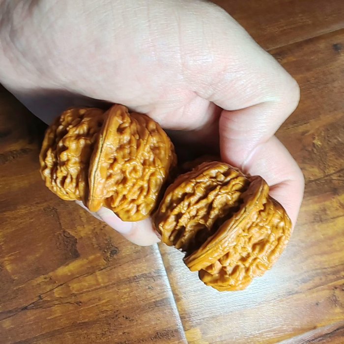 連體白獅子核桃精品配對，可遇不可求，尺寸52.7mm*44.7mm* 38mm，連體