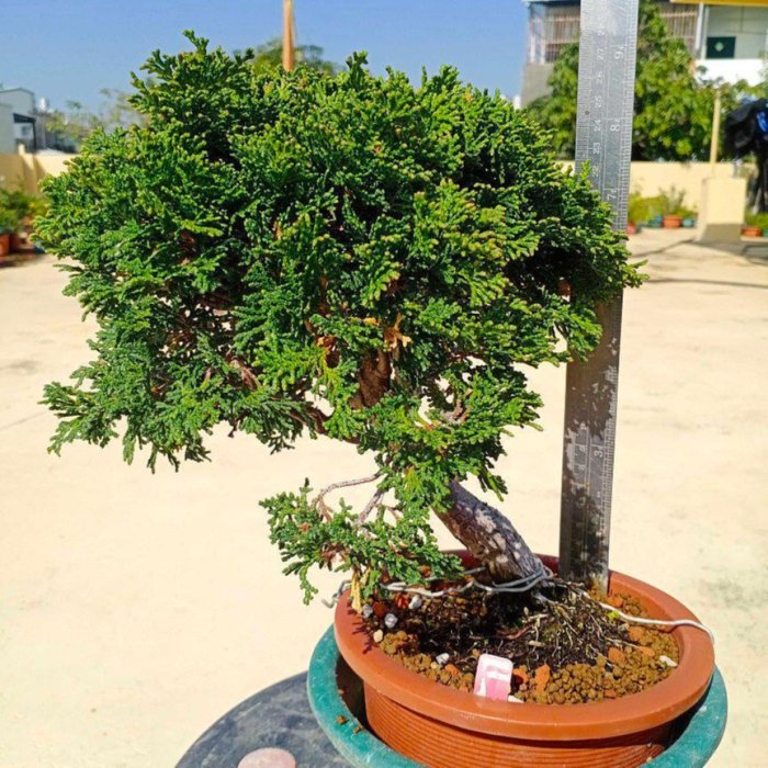 0eb942b5-a9ad-4937-9731-