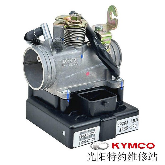 光陽原廠MANY125 CK125T-13 ECU 節流閥體 行車電腦 燃油控制器