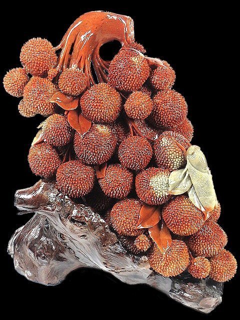 金王記拍寶網】B005 壽山石名家張華偉荔枝蟬精雕作品色澤溫潤精雕擺件