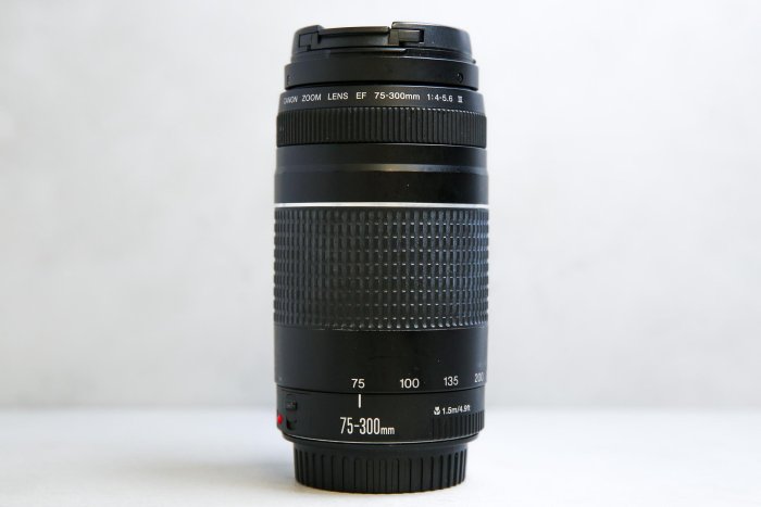 【台南橙市3C】Canon EF 75-300mm f4-5.6 III 二手鏡頭 全片幅 望遠鏡 #97966