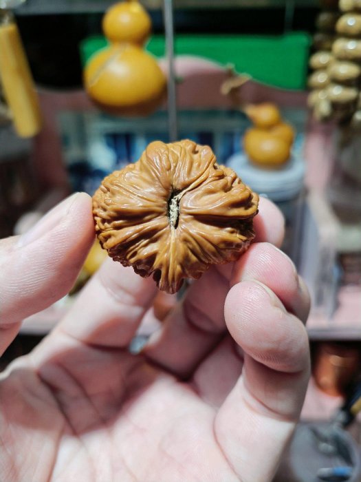 嚴選白獅子手工異形西牛角單粒核桃，精雕細琢值得
