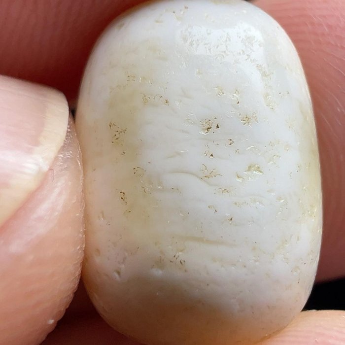 白龍神天珠　白地　至純天珠 虎牙天珠+金線硨磲手珠10mm【十方】135957