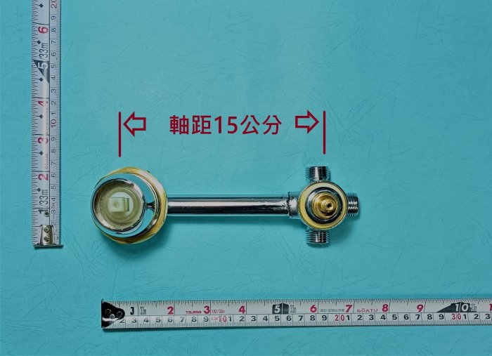 守護龍 掛軸 善海 七龍珠玩具給庫