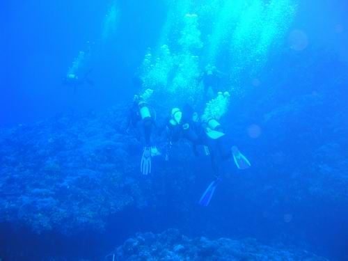 (綠島-潛水執照初級班)潛水,潛水推薦,國際潛水執照,潛水執照,綠島潛水,三天兩夜,取照+住宿+三餐