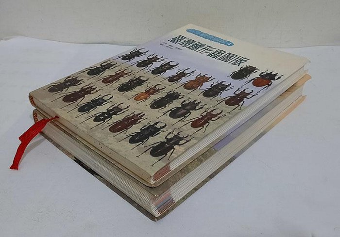 自然觀察圖鑑4：臺灣鍬形蟲+臺灣鍬形蟲圖版(附野外觀察手冊)親簽版