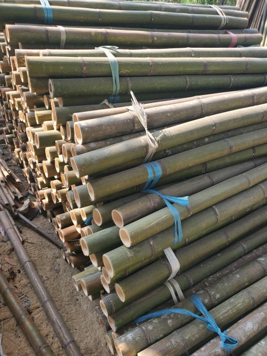 浮草 大台高竹 秘伝 8.2尺 紀州和竿 美品 超希少 美品 紀州竹竿 美峰 浮雲 16.4尺 和竿 - メルカリ