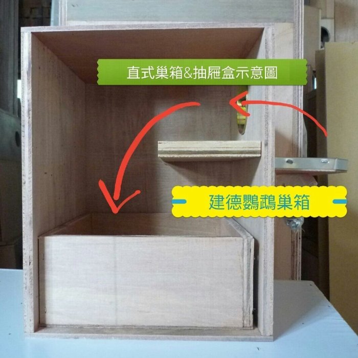 掛軸　蘭桂　猛虎　共箱 ✨️有現貨了~一個字<正>✨️ 🎉虎甲人收藏卡~限量珍藏🎉